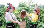 Cần kết hợp hỗ trợ năng lực cá nhân với thay đổi nhận thức cộng đồng về quyền năng kinh tế phụ nữ DTTS