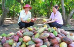 Ea Na gắn kết để phát triển nông thôn mới bền vững