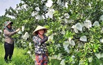 Đẩy mạnh kết nối giao thương, đưa sản phẩm OCOP Nghệ An vươn xa