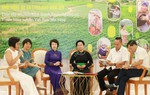 Đào tạo, nâng cao cao năng lực sản xuất nông nghiệp bền vững cho 1.500 phụ nữ tại Tuyên Quang
