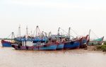 Triển khai Sở Chỉ huy tiền phương của Chính phủ phục vụ chỉ đạo ứng phó bão số 5