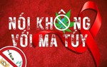 Tiêu chí xác định tuyến, địa bàn trọng điểm phức tạp về ma túy, địa bàn không ma túy