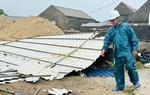 Bão số 5 gây thiệt hại nặng nề tại Nghệ An, Hà Tĩnh, khẩn trương khắc phục hậu quả sau bão