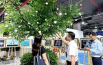 Gần 30 nghìn phần quà tặng khán giả tham quan Triển lãm ảnh và video "Việt Nam Hạnh phúc" 