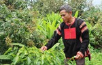Trưởng buôn "nói không với thuốc lá"