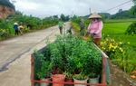 Phụ nữ Đạ Tẻh 2  tích cực làm đẹp cảnh quan nông thôn 