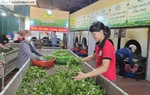 Tạo việc làm, nâng cao thu nhập cho phụ nữ, chung sức xây dựng nông thôn mới nâng cao