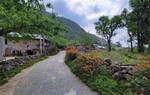 Phát triển du lịch cộng đồng góp phần thay đổi diện mạo nông thôn ở Sì Thâu Chải