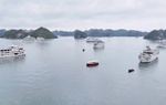 Quảng Ninh: Nhiều giải pháp đưa khách du lịch trở lại sau sự cố lật tàu trên Vịnh Hạ Long