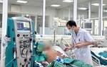 Cảnh báo khẩn: Tăng cường phòng chống bệnh liên cầu lợn lây sang người