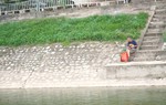 Người Hà Nội "chờ hơn 20 năm mới lại được ăn cá sông Tô Lịch"