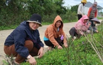 Con đường hoa nông thôn mới của phụ nữ Ea Knốp
