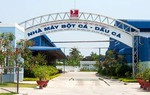 Cổ phiếu DAT của Trisedco tăng trần 6 phiên liên tiếp, hé lộ mối liên hệ với Tập đoàn Sao Mai