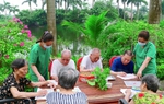 Bất động sản dưỡng lão: Mảnh ghép còn thiếu khi Việt Nam chuẩn bị bước vào giai đoạn dân số già 