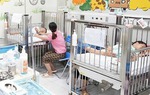 Theo bà lên nương, 3 cháu bé bị ong đốt, 1 trường hợp tử vong