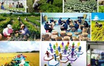 Quy định mới về thành lập Quỹ hợp tác xã địa phương hoạt động theo mô hình hợp tác xã