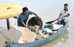 Nhặt một túi rác - giữ một đại dương xanh