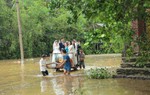 Đám cưới ngày lũ ở Nghệ An: Lội nước rước dâu bằng xe kéo