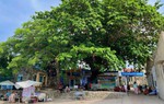 Khánh Hòa: Sẽ hỗ trợ người dân Bích Đầm làm du lịch cộng đồng sau phản ánh của Báo Phụ nữ Việt Nam