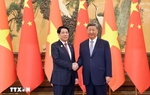 Việt Nam luôn ưu tiên hàng đầu việc củng cố và phát triển quan hệ Việt-Trung