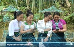 Phụ nữ miền núi trên "cao tốc số": Những ngọn núi không còn là khoảng cách