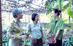 Quảng Ninh: Hỗ trợ phụ nữ khởi nghiệp từ nhu cầu thực tế