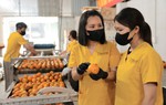 Chuyển đổi xanh: Không nhất thiết phải đầu tư công nghệ hiện đại ngay từ đầu