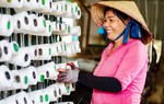 Không miễn toàn bộ trách nhiệm bảo vệ dữ liệu cá nhân cho doanh nghiệp siêu nhỏ do phụ nữ làm chủ