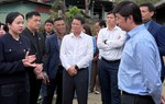 Từ lá chè ép trong trang vở, người phụ nữ rời phố về quê "đánh thức" giá trị chè cổ thụ