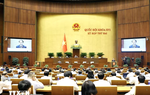 Kỳ họp thứ 2: Đề xuất nhiều quy định mới về hành nghề luật sư và nuôi con nuôi