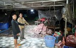 Triệt phá đường dây tiêu thụ khoảng 400 tấn lợn bệnh, lợn chết