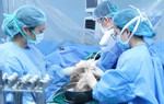Hiến mô, tạng ở người dưới 18 tuổi: Cần hài hòa cơ hội cứu người và quyền trẻ em