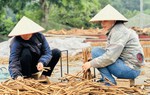 Cơ sở do phụ nữ làm chủ được ưu tiên hỗ trợ khuyến công: Động lực mới từ chính sách 