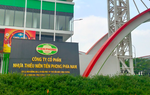 Nhựa Tiền Phong vượt kế hoạch lợi nhuận, vì sao dòng tiền kinh doanh vẫn âm?