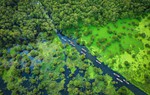 Mở ra dư địa phát triển du lịch sinh thái gắn với bảo tồn thiên nhiên