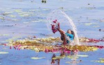 Ngỡ ngàng trước vẻ đẹp mùa nước nổi ở miền Tây Nam Bộ