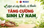 Cây thuốc, vị thuốc nào hỗ trợ tăng cường sinh lý nam?