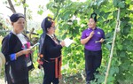 Nghĩ khác, làm khác để khởi nghiệp, tạo sức bật cho hợp tác xã