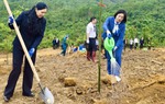 Phụ nữ Quảng Ninh hưởng ứng "Tết trồng cây" 2026