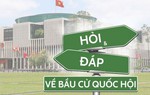 Cử tri là người di cư tự do, chưa đăng ký thường trú hoặc tạm trú tham gia bầu cử thế nào?