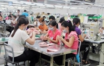 Cục Thống kê: Gần 24,2 nghìn doanh nghiệp thành lập mới trong tháng 1