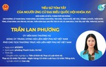Bà Trần Lan Phương ứng cử Đại biểu Quốc hội khóa XVI tại Đơn vị bầu cử số 6, thành phố Hải Phòng
