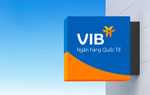 Bức tranh tài chính của VIB ra sao khi dự chi cổ tức 9% tiền mặt?