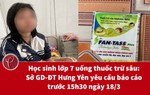 Học sinh lớp 7 uống thuốc trừ sâu: Sở GD-ĐT Hưng Yên yêu cầu báo cáo trước 15h30 ngày 18/3