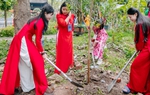 Chương trình “Vườn cây ơn Bác” tuyên dương 50 gương sáng trồng cây