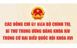 Các đồng chí Ủy viên Bộ Chính trị, Bí thư TW Đảng trúng cử đại biểu Quốc hội khóa XVI