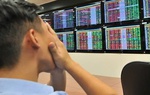 VN-Index "gãy" mốc 1.600 điểm: Làn sóng bán tháo nhấn chìm thị trường