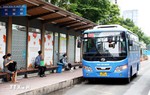 TPHCM chủ trương miễn phí xe buýt cho người dân