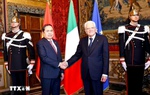 Việt Nam-Italy nhất trí tăng cường ủng hộ lẫn nhau tại các tổ chức quốc tế
