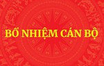 Thủ tướng Chính phủ phê chuẩn kết quả bầu Chủ tịch, Phó Chủ tịch UBND cấp tỉnh nhiệm kỳ 2026-2031